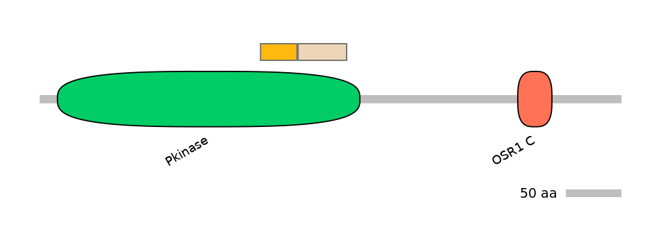 HsaINT0119204-EXC