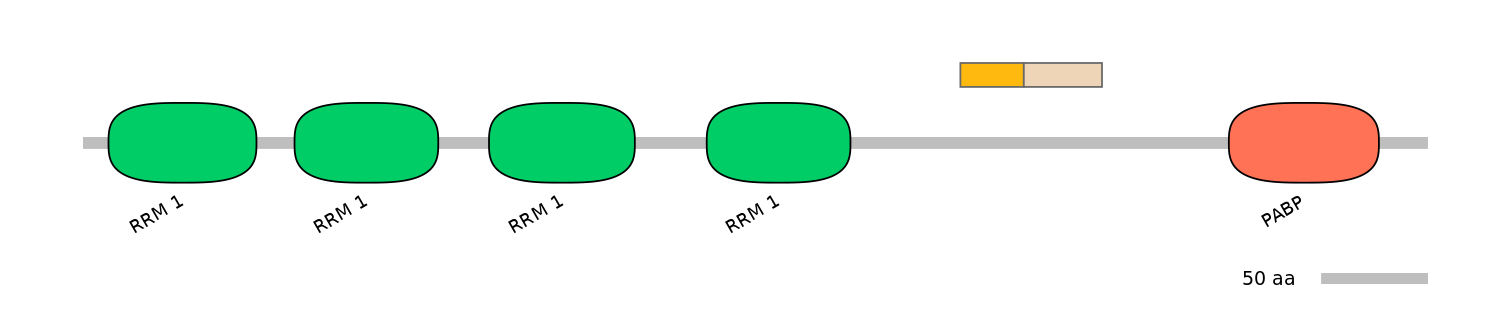 HsaINT0119413-EXC