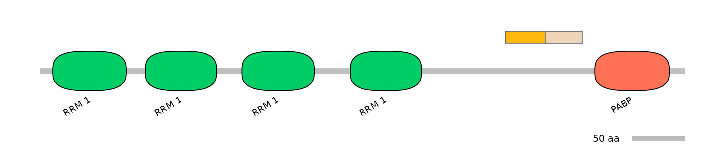 HsaINT0119415-EXC