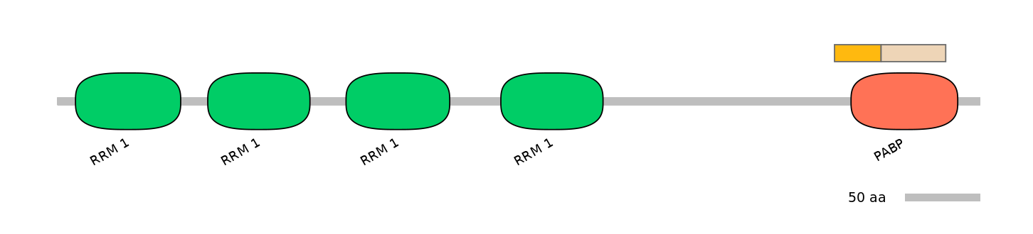 HsaINT0119417-EXC