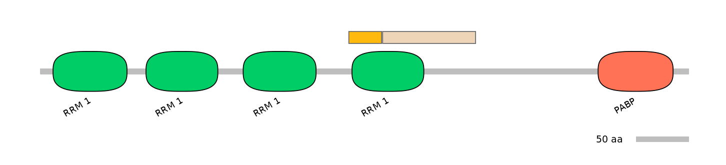HsaINT0119425-EXC