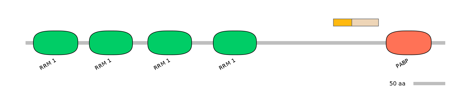 HsaINT0119430-EXC