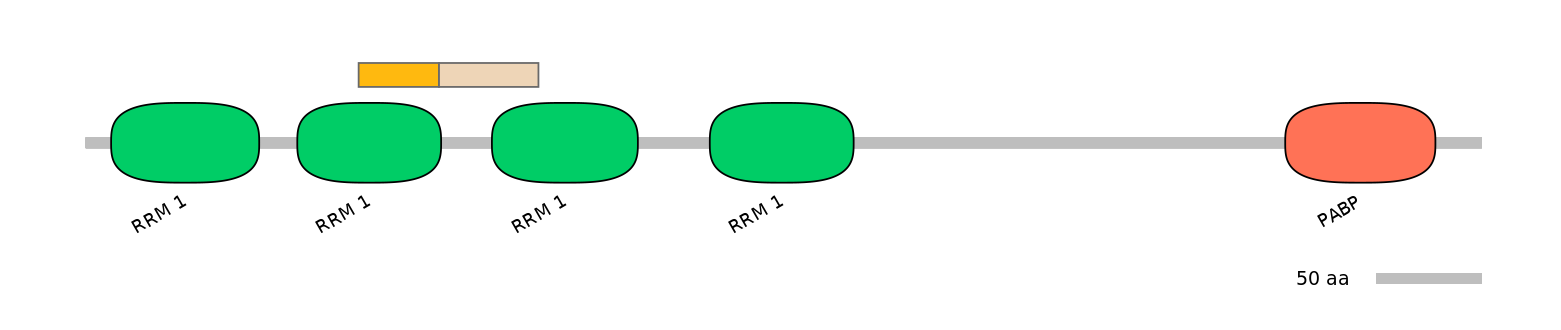 HsaINT0119436-EXC