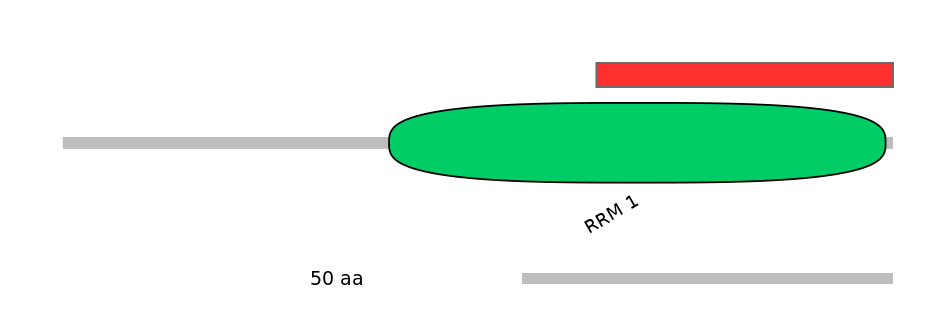 HsaINT0119436-INC