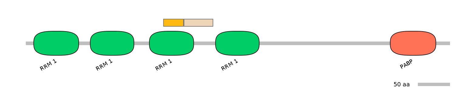HsaINT0119438-EXC