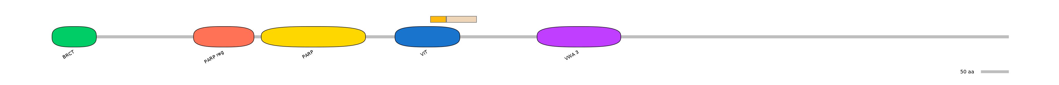 HsaINT0120503-EXC
