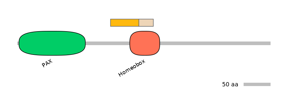 HsaINT0120770-EXC
