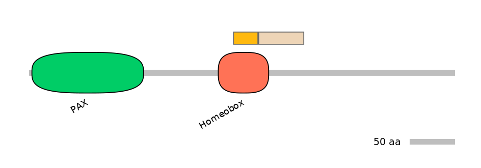 HsaINT0120771-EXC