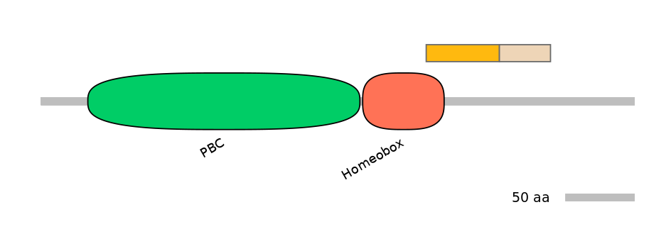 HsaINT0120861-EXC