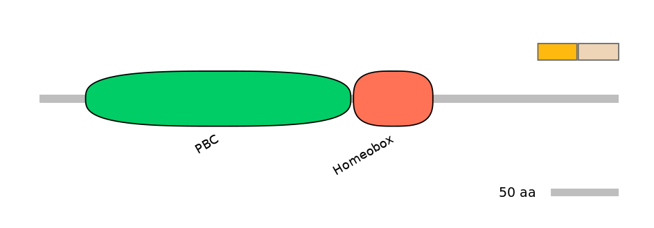 HsaINT0120863-EXC