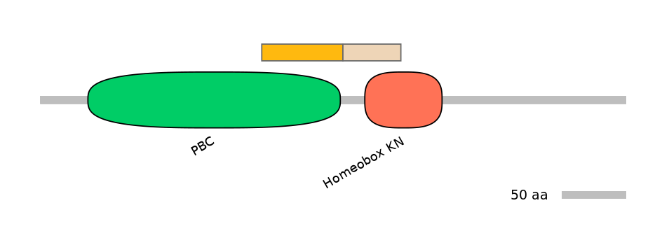 HsaINT0120871-EXC