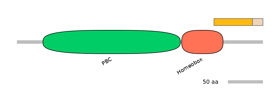 HsaINT0120873-EXC