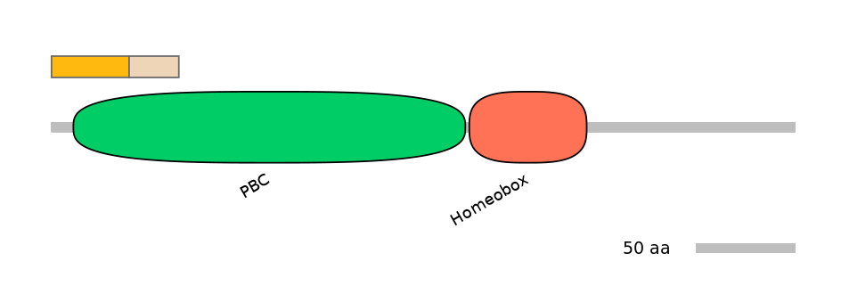 HsaINT0120875-EXC