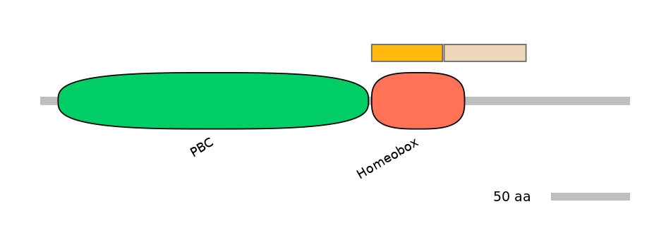 HsaINT0120879-EXC
