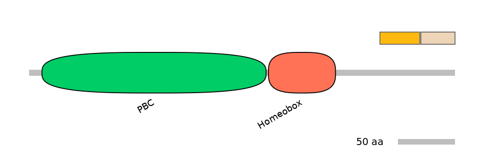 HsaINT0120881-EXC
