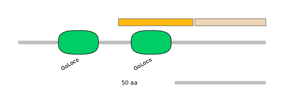 HsaINT0121529-EXC