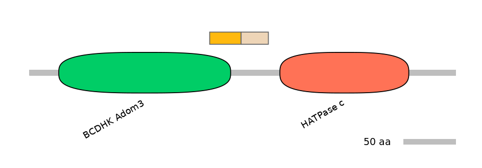 HsaINT0122522-EXC