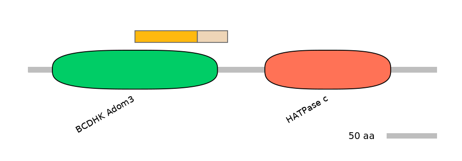 HsaINT0122531-EXC