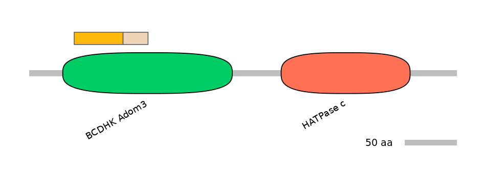 HsaINT0122539-EXC