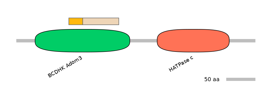 HsaINT0122540-EXC