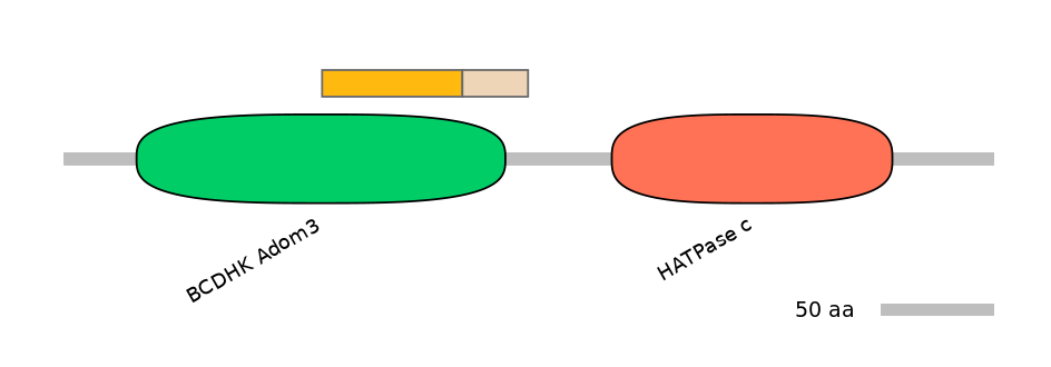 HsaINT0122541-EXC