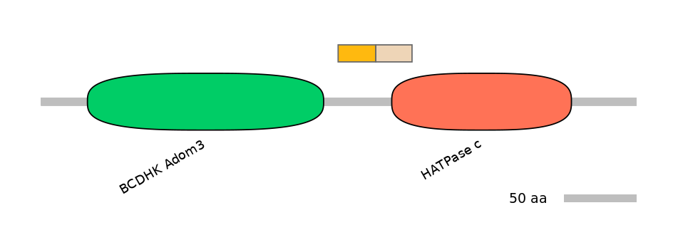 HsaINT0122543-EXC