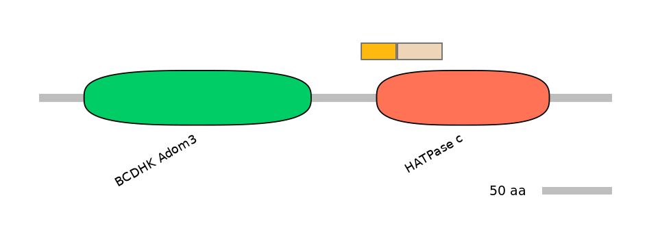 HsaINT0122544-EXC