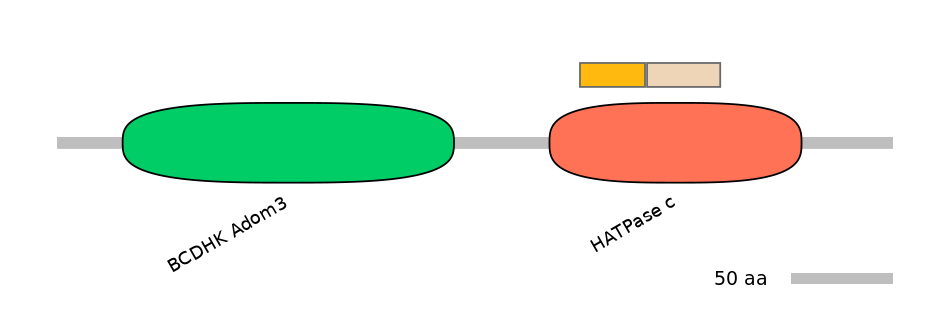 HsaINT0122545-EXC