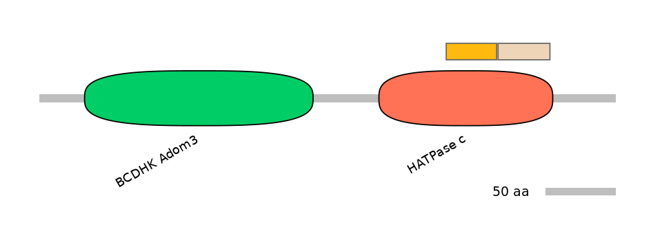 HsaINT0122546-EXC