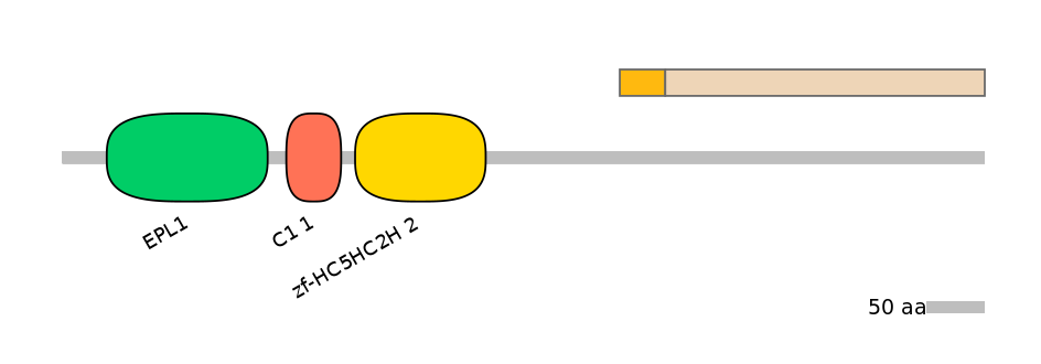 HsaINT0123916-EXC