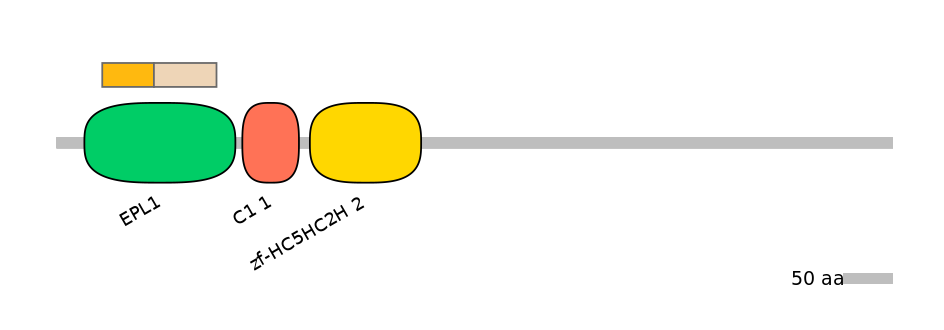 HsaINT0123939-EXC