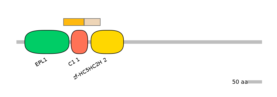 HsaINT0123941-EXC