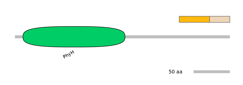 HsaINT0124457-EXC