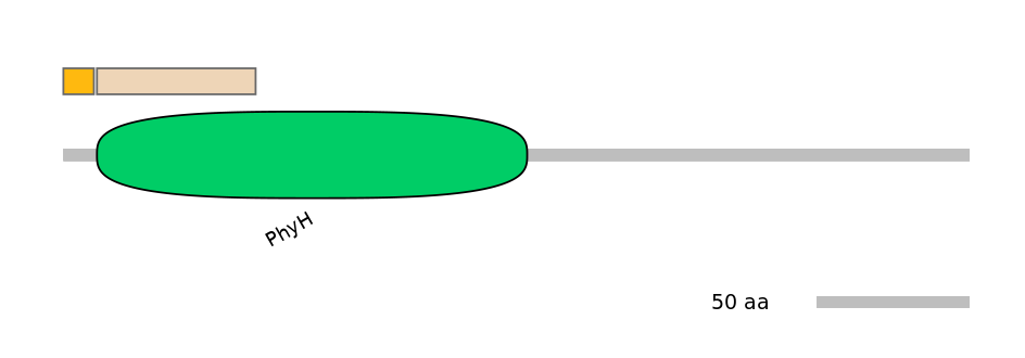 HsaINT0124459-EXC