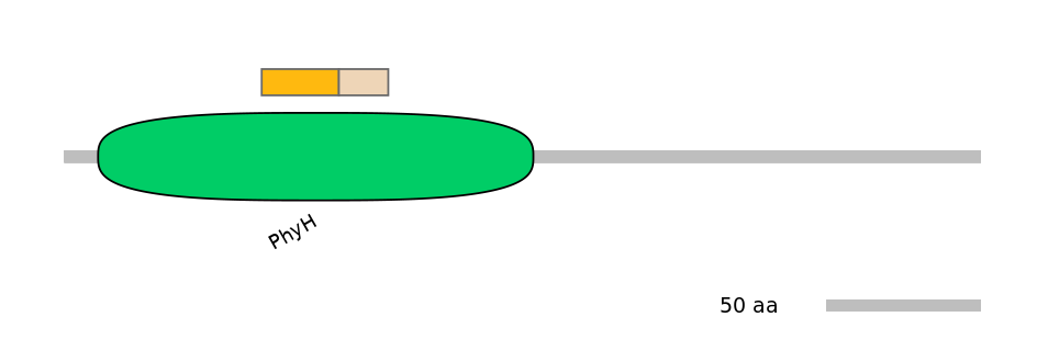 HsaINT0124461-EXC