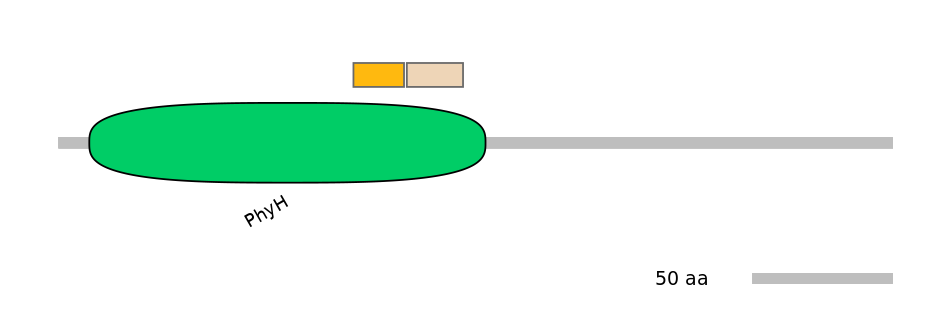 HsaINT0124463-EXC