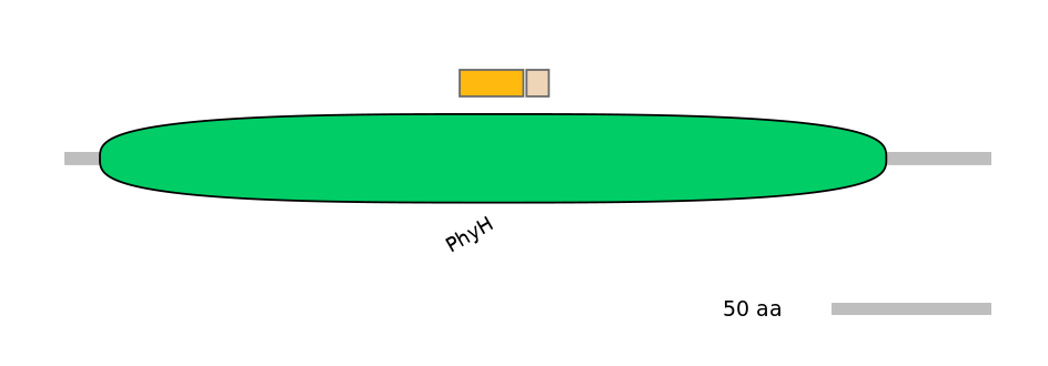 HsaINT0124464-EXC