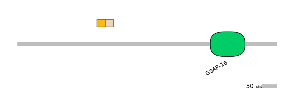 HsaINT0125309-EXC