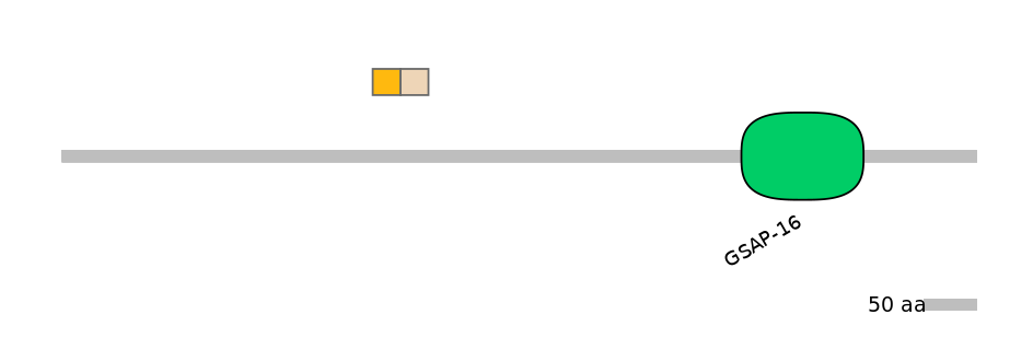 HsaINT0125310-EXC