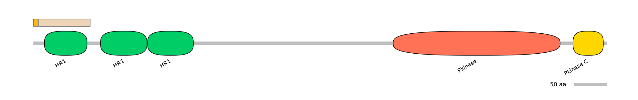 HsaINT0126158-EXC