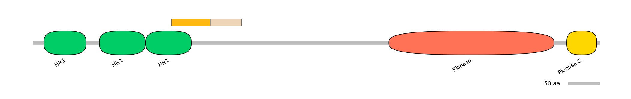 HsaINT0126175-EXC