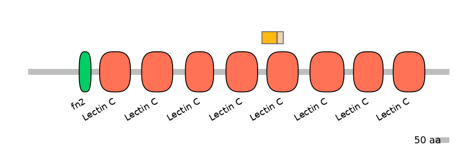 HsaINT0126450-EXC