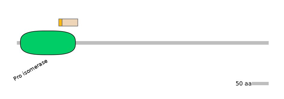 HsaINT0130263-EXC