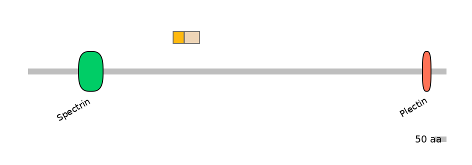 HsaINT0130399-EXC