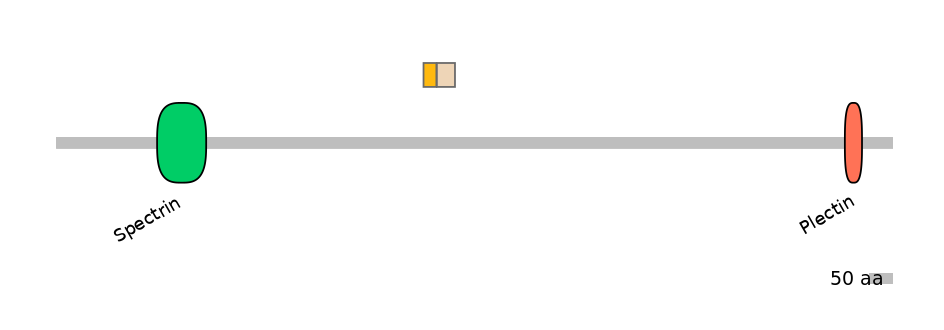 HsaINT0130402-EXC