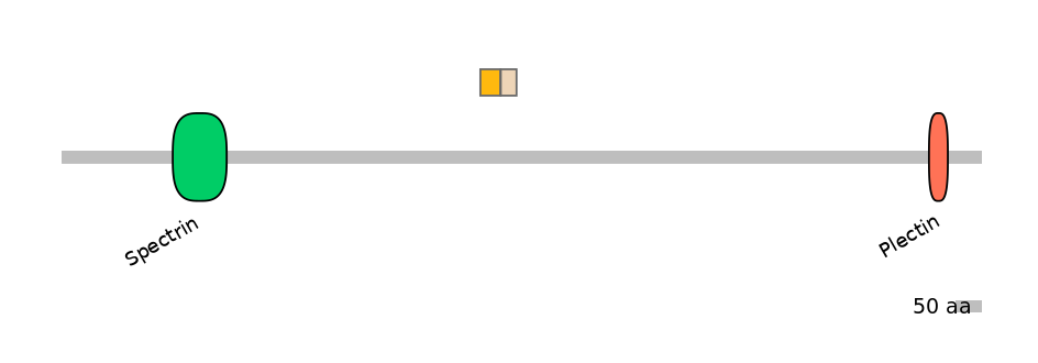 HsaINT0130404-EXC