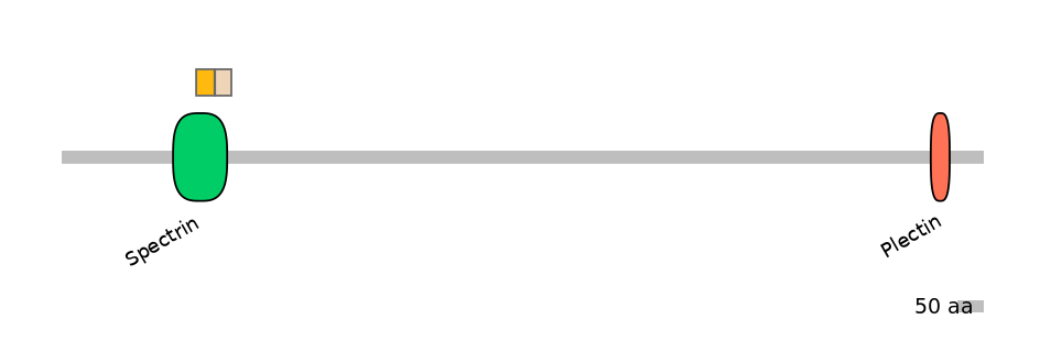 HsaINT0130411-EXC