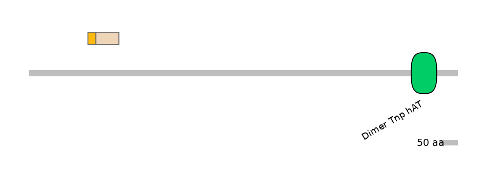 HsaINT0131367-EXC