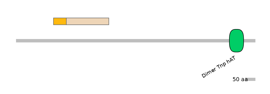HsaINT0131368-EXC