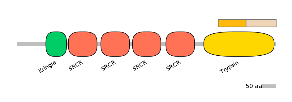 HsaINT0132927-EXC